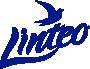 Linteo