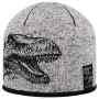 Zimní čepice T-Rex šedá RDX
