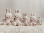 Králíček Miffy textilní Lucky Blossom 20 cm Little Dutch