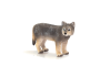 Mojo Vlk mládě