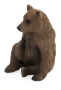 Mojo Medvěd grizzly mládě
