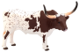 Mojo Texaský dlouhorohý skot