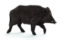 Animal Planet Divočák