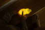 LED silikonová noční lampička Pop It Rgb se zvukem - krokodýl Mary's