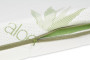 Ortopedická matrace Flora 140 x 70 x 10 cm BabyMatex