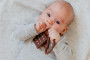 Chrastíček keksík silikon 13 x 5 cm Babyted 