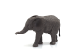 Mojo Slon africký slůně