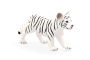 Mojo Tygr bílý mládě stojící
