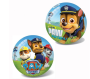Míč Paw patrol 23 cm