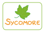 Sycomore