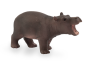 Mojo Hroch mládě