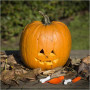 Sada 5 nástrojů na vyřezávání halloweenské dýně