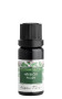 Hřebíček plody 2 ml tester sklo