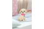 BABY born kolo s pejskem