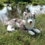 Plyšový pes husky ležící 60 cm Rappa