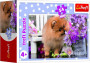 Minipuzzle zvířátka - mláďata 4 druhy, 54 dílků