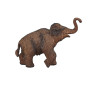 Mojo Mamut mládě