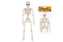 Dekorace Halloween kostlivec 45 cm na zavěšení