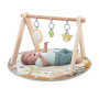 Deka na hraní Wonder & Wood™ 0 m+ Ingenuity