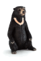 Mojo Medvěd malajský