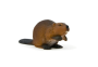 Mojo Bobr
