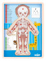 Puzzle Lidské tělo - Kluk CZ