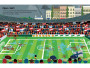 555 samolepek - Fotbal