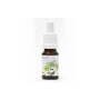 Jasmín v jojobě BIO 10 ml