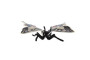 Motýl tropický Papilio/otakárek fenyklový zooted plast 8 cm