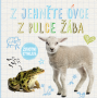 Z jehněte ovce, z pulce žába - Životní cyklus