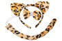 Set karneval - tygr
