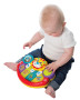 Multifunkční hudební nástroj lvíček Playgro
