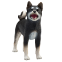 Mojo Pes Shiba Inu černý